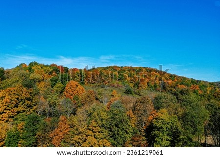 Fall hillside with majestic color