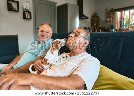 Two middle-aged male friends spending time at home with cat and dog on a couch, cuddling pets and talking. Jack russell puppy lickking the face of man.