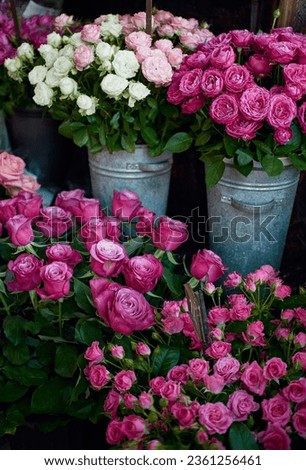 A picture of a flower shop with different kinds of roses in different shades of pink, arranged in grey buckets