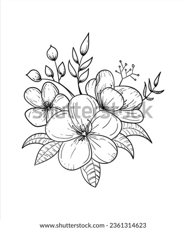 Ink, pencil, the leaves and flowers of jasmine isolate. Line art transparent background. Hand drawn nature painting. Freehand sketching illustration. Royalty-Free Stock Photo #2361314623