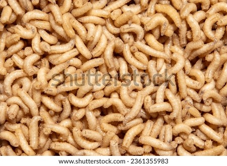 A close-up with many flesh worms. Larvae in the background