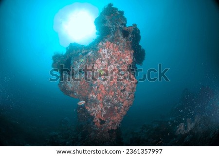 A tropical coral reef column with the sun reflection on the surface behind