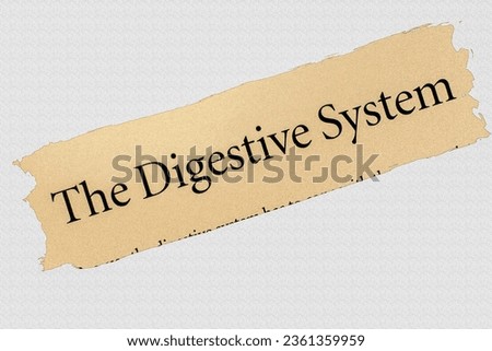 The Digestive System - in English vocabulary language word with reference reflexology, health and body and mind well-being pencil sketch