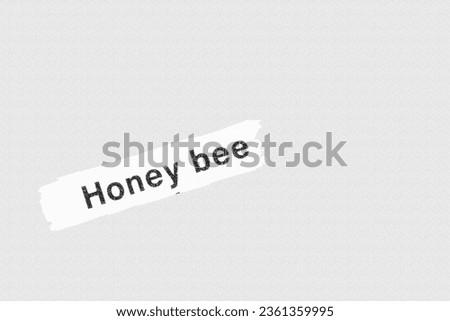 Honey bee in English vocabulary language heading and word title and meaning with reference to British wildlife and countryside