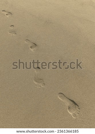 foot prints of humans on Sandy beach.