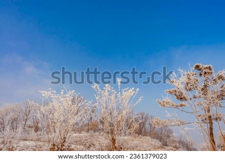 Winter morning landscape image of a new town apartment complex in Yangju-si, Gyeonggi-do