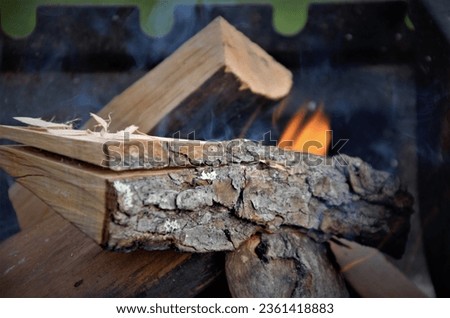 wood starts to burn, little fire. High quality photo