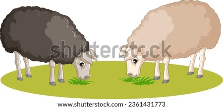 Vector cartoon illustration of black and white sheeps eating grass