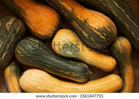 Overhead view of elongated pumpkins on a brown jute background