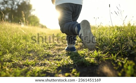 kid run legs close-up in park at sunset. happy family. people in the park concept boy son joyful run. happy family summer. little baby run child fun summer kid lifestyle dream concept Royalty-Free Stock Photo #2361451169