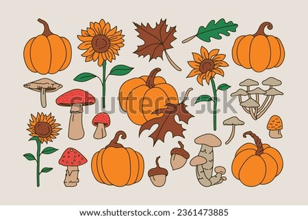 Autumn and Fall Season Leaves Vector Objects