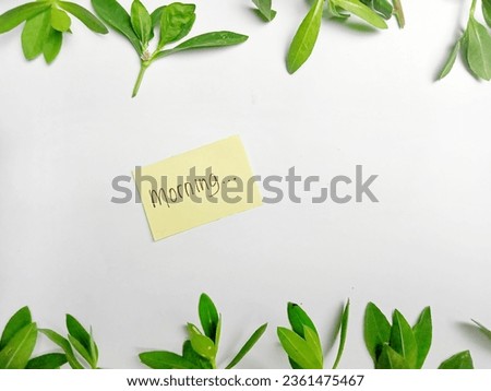 'morning' greeting with a cut leaf frame on a white background
