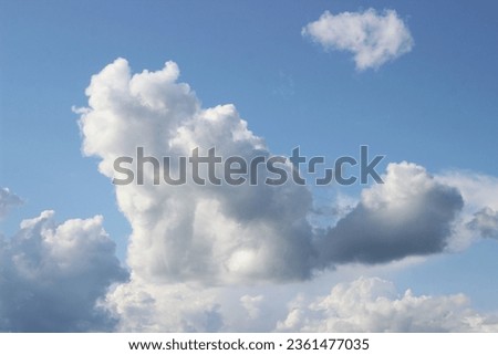 mushroom fly agaric in brown foliage a cloud that looks like a kitten or a dog Royalty-Free Stock Photo #2361477035