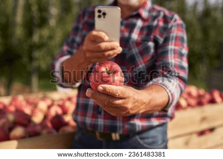 Unrecognizable farmer taking photo of held apple