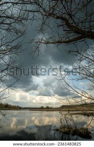 Forest with clouds of rain . Lake in the forest . Landscape in countryside at spring colors 