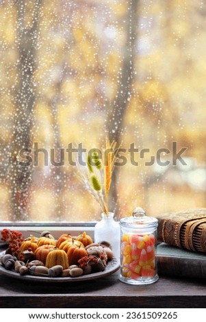 autumn decor. pumpkins shape candles, nuts, candy corn in jar, books on windowsill, abstract window background. autumn season. cozy composition in fall time Royalty-Free Stock Photo #2361509265