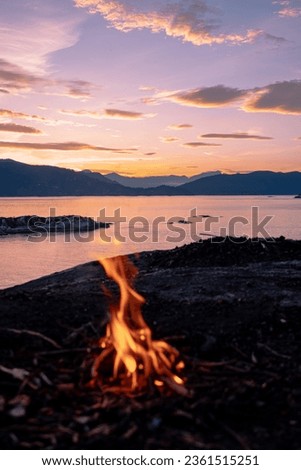 Picture of a wild blazing fire