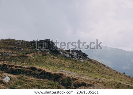 Aerial view of rocky peak of Spitz mountain in the Carpathian mountains, landscape of summer mountains. High quality photo