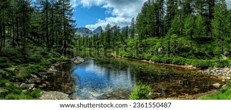 Panorama of a beautiful lake in the forest. Forest lake view. Beautiful forest lake. Lake in forest