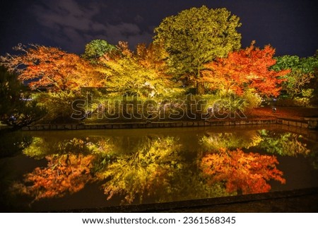 This is the scenery of Toji Temple in Kyoto in autumn.