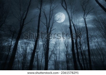 Title: night in the woods under full moon, dark fantasy halloween background Royalty-Free Stock Photo #2361578291
