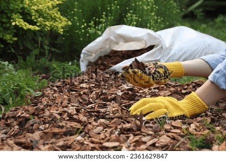 Woman mulching soil with bark chips in garden, closeup Royalty-Free Stock Photo #2361629847