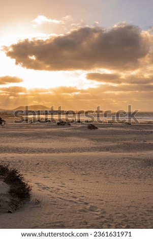 White sand beach. Golden sunset on Famara beach. Caleta de Famara village and ocean in the background. Desert plants and sand dunes. Sky with white and golden clouds. Caleta de Famara.Lanzarote
