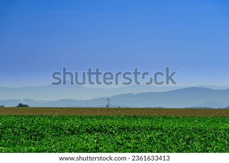 Sudetes foreland. The undulating terrain is covered with farmlands, meadows and forests. On the horizon you can see the peaks of the Sudetes Mountains, hidden in the fog and very blurred. Royalty-Free Stock Photo #2361633413