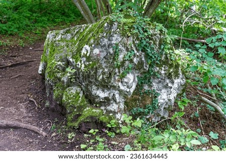 Green covered rock in the woods at hiking trail to castle at Slovenian City of Bled on a blue cloudy summer day. Photo taken August 8th, 2023, Bled, Slovenia.