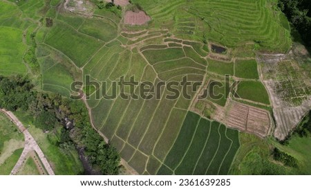 Top view of mountaineer house with rural rice field in valley, Chiangmai Thailand