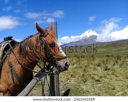 Horseback riding in Rumiñahui Volcano, Cotopaxi and Ecuadorian Paramo