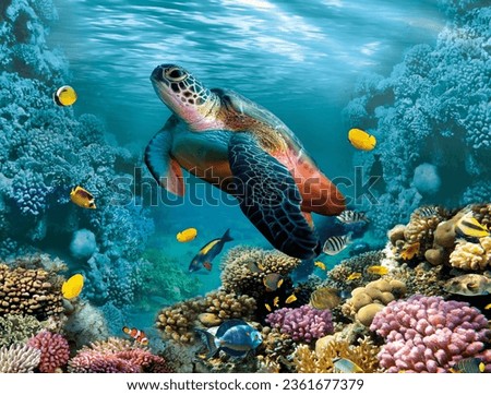 Sea Coral Turtle Underwater World Top view for 3d floors water nature fish sea coral egypt red sea