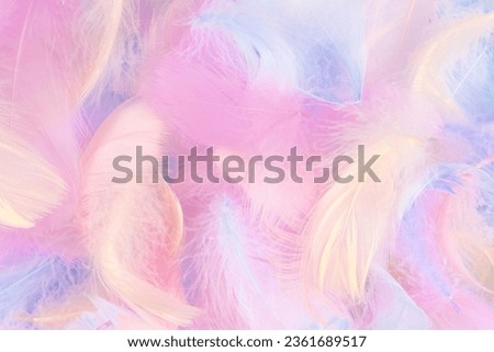 Colorful feather on mint background, top view. 