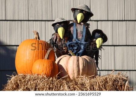 A hay bale with different types of pumpkins resting on top. There is a scarecrow with three crows in overalls on it.