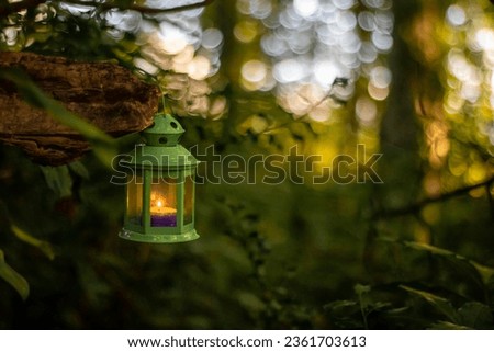 Lantern in the forest. Selective focus. nature