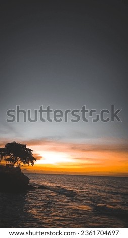 sunset on the beach, beach sand and palm trees