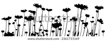 Horizontal floral border made of Blanket flower silhouettes isolated on white background 