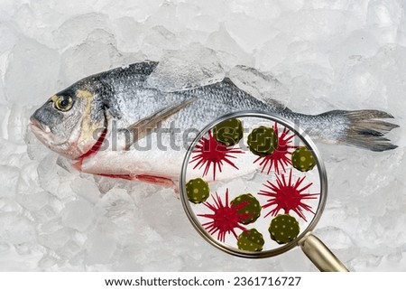 Magnifying lens with simulated germs, viruses, bacteria, food allergy concept. Gilt-head bream fresh raw fish dorada without scales and gills, dorade fish