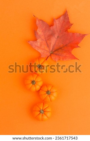 mini pumpkins and autumn leaf on orange background