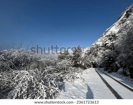 Sunrise time. Snow tree. Mountain adventure landscape photo. Snow time at the mountain picture. 