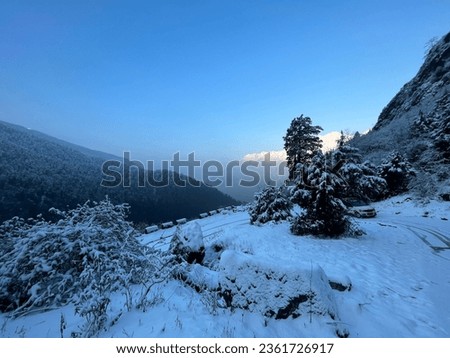 Mountain adventure landscape photo. Mountain tree picture. Snow hill.