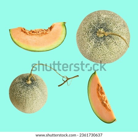 Cantaloupe melon Japanese fruit isolated with clipping path, no shadow in green background