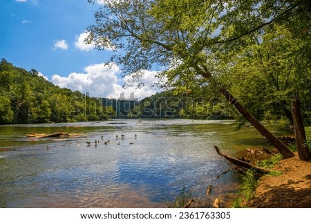 a gorgeous summer landscape along the Chattahoochee river with flowing water surrounded by lush green trees, grass and plants with blue sky and clouds in Atlanta Georgia USA	