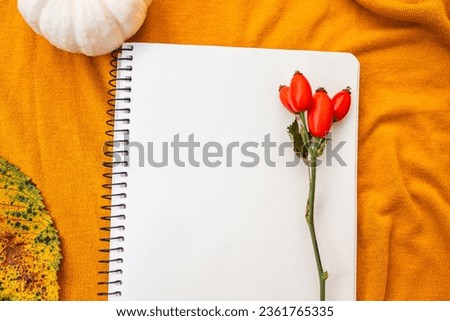 Blank notebook on spring on textile yellow background with autumn d cor