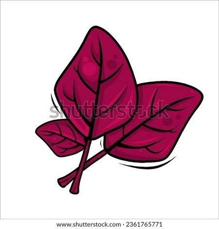A vector of spinach with red color.red spinach color icon vector. red spinach sign. isolated symbol illustration