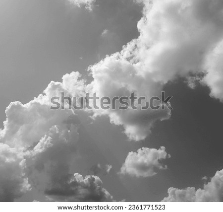High cumulus clouds paint the sky in monochrome strokes, a celestial canvas of serene grandeur. Nature's whispers echo in their billowy embrace Royalty-Free Stock Photo #2361771523