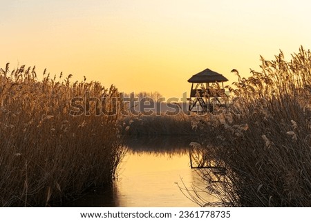 Winter lake and reed tree with lookout point at sunset in yellowish sunshine