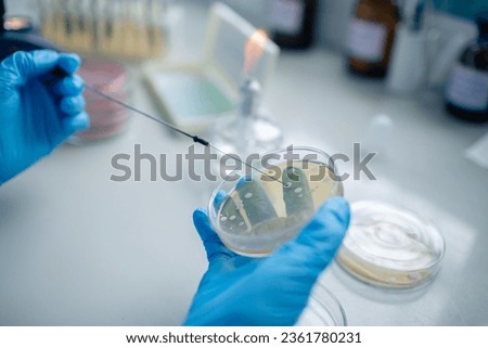 Scientist conducting chemical research on microbes or bacteria in a modern laboratory close-up Royalty-Free Stock Photo #2361780231
