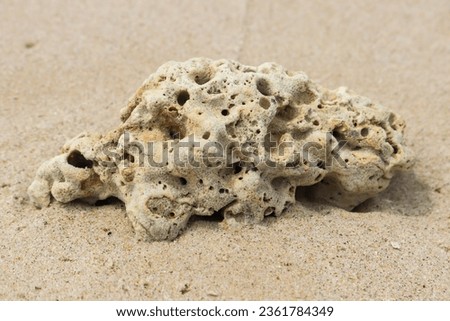 rock carried by the water to the seashore on the sand