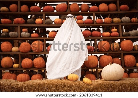 A child in sheets with cutout for eyes like a ghost costume in the kitchen decorated for the Halloween holiday. A kind little funny ghost. Halloween Party 